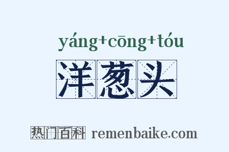 洋葱头是什么意思的图片